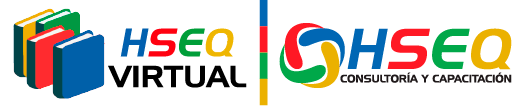HSEQ Virtual